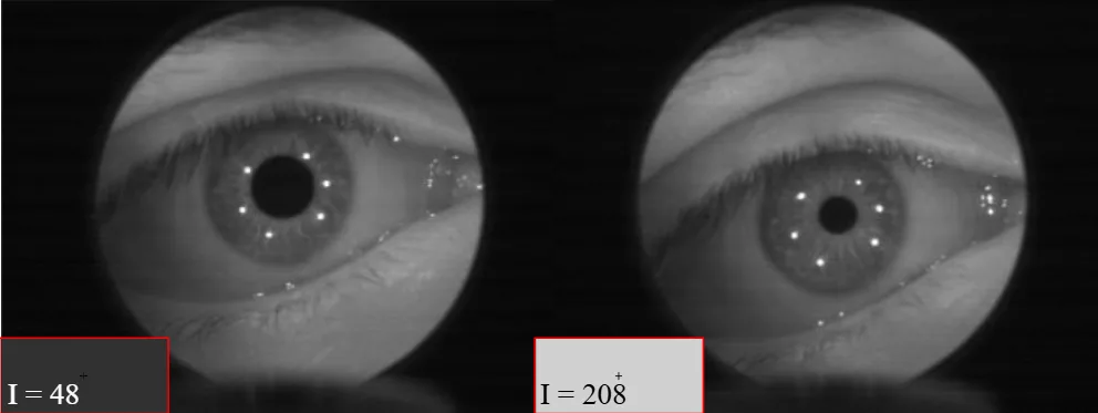 Pupils displayed in two different grayscale intensities